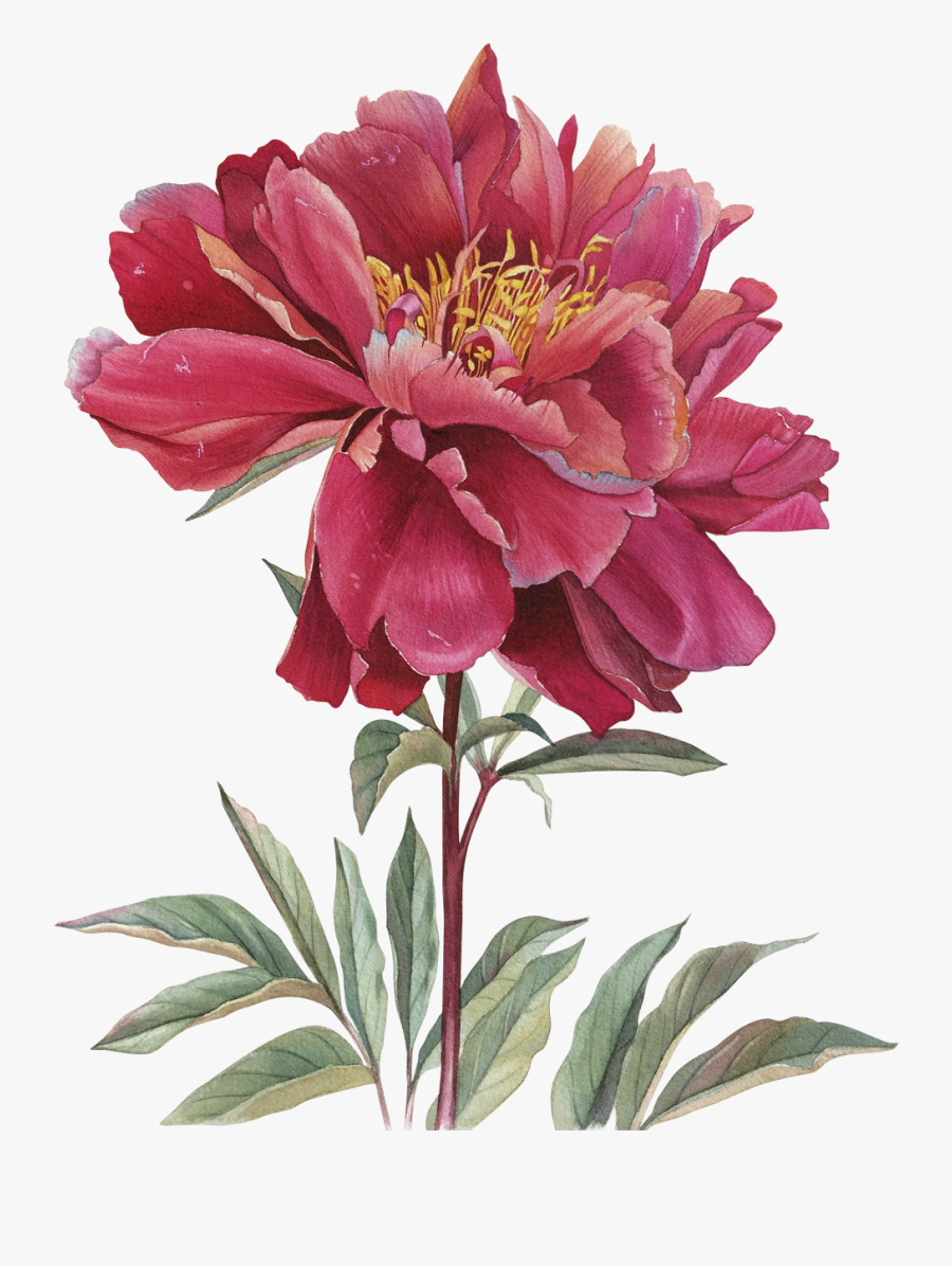 My Way Home - Watercolor Painting, Transparent Clipart