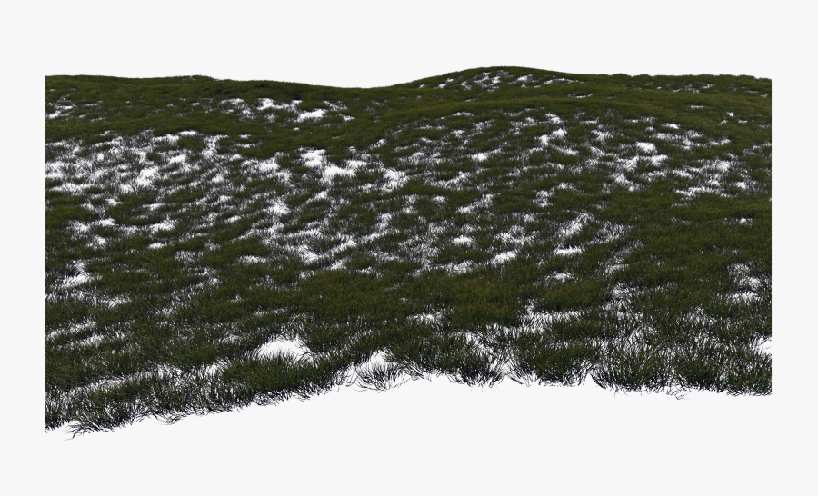 Snow, Transparent Clipart