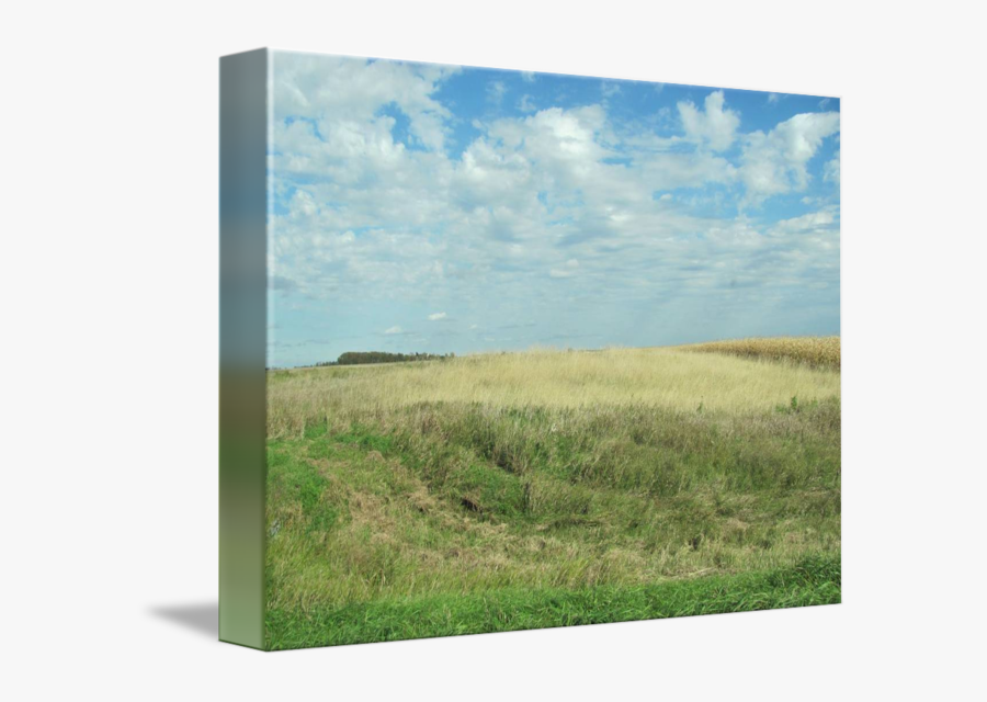 Clip Art Green Grass Blue Sky - Grass, Transparent Clipart