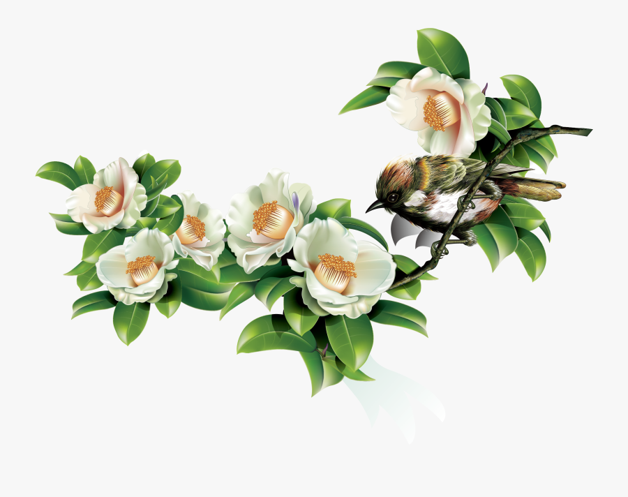 Green Leaves And Birds In Spring - White, Transparent Clipart