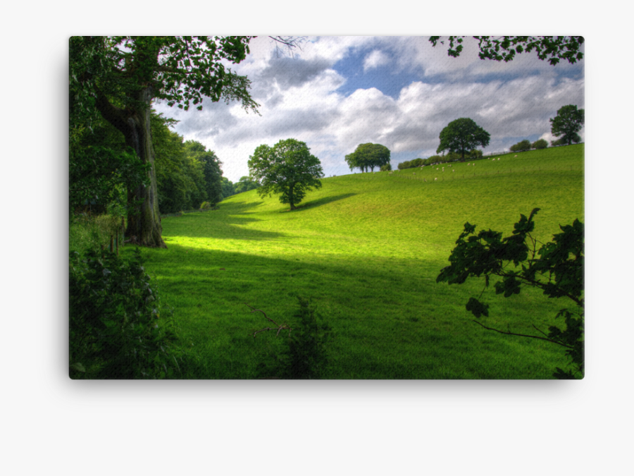 Clip Art Hill With Trees Under - Public Domain Free Landscape, Transparent Clipart