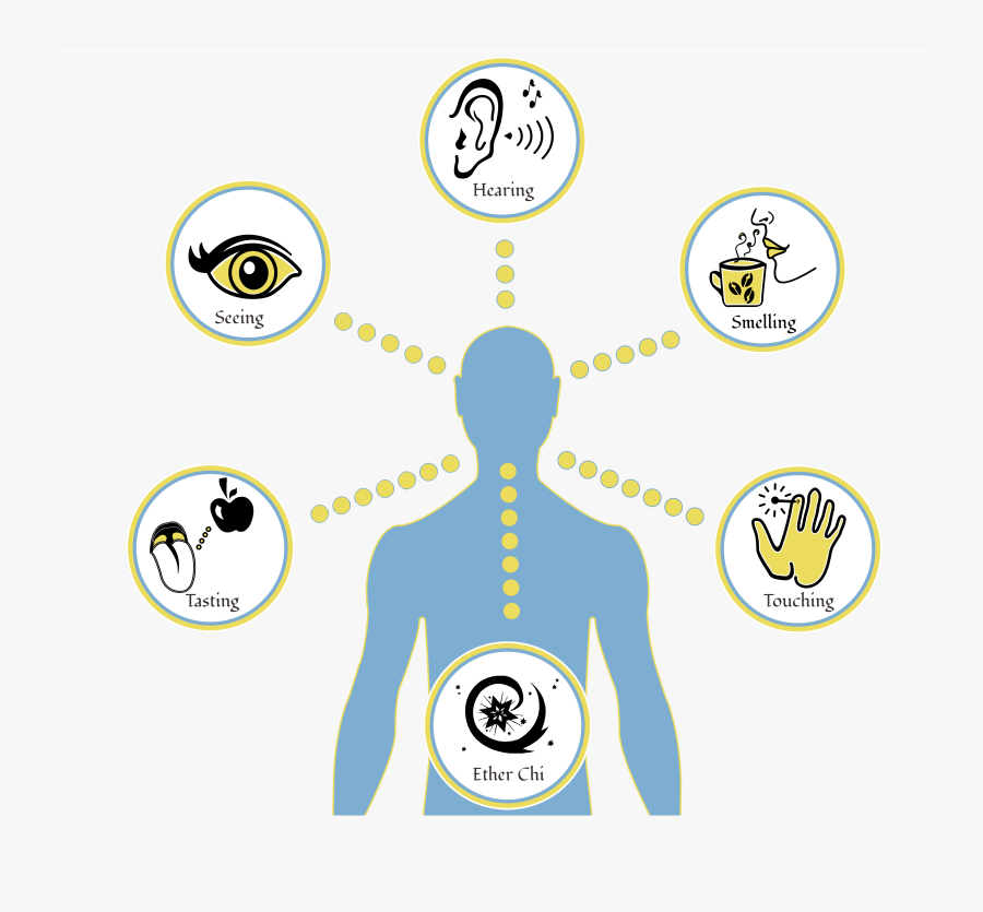 Graphic Design, Transparent Clipart