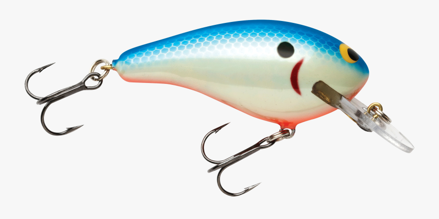 Underwater, Transparent Clipart