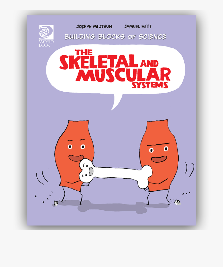Skeletal And Muscular Systems World Book - Skeletal And Muscular System Cartoon, Transparent Clipart