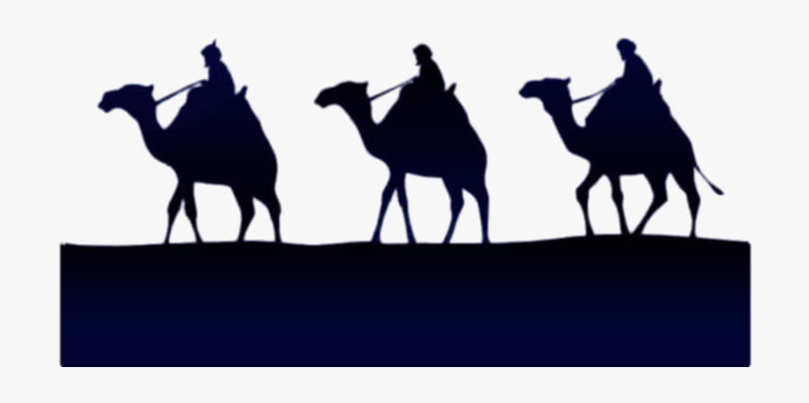 Epiphany Three Kings On A Camel - Wise Man On Camel, Transparent Clipart