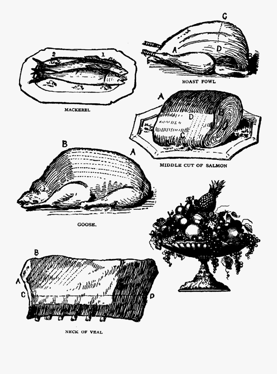 Printable Food Collage Sheet Download Meat Fish Fruit - Sketch, Transparent Clipart