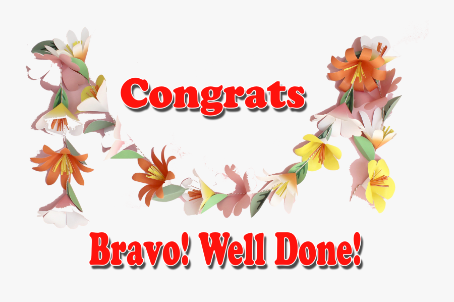 Congrats Bravo Well Done Png Transparent Image, Transparent Clipart