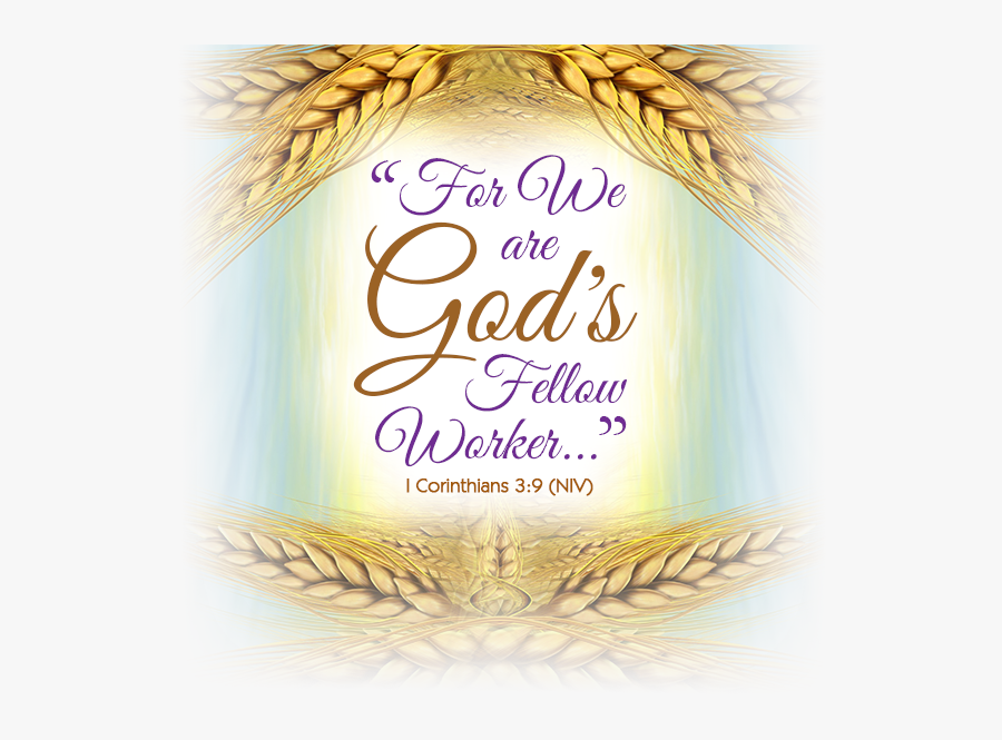 liturgical-ministries-st-gabriel-catholic-church