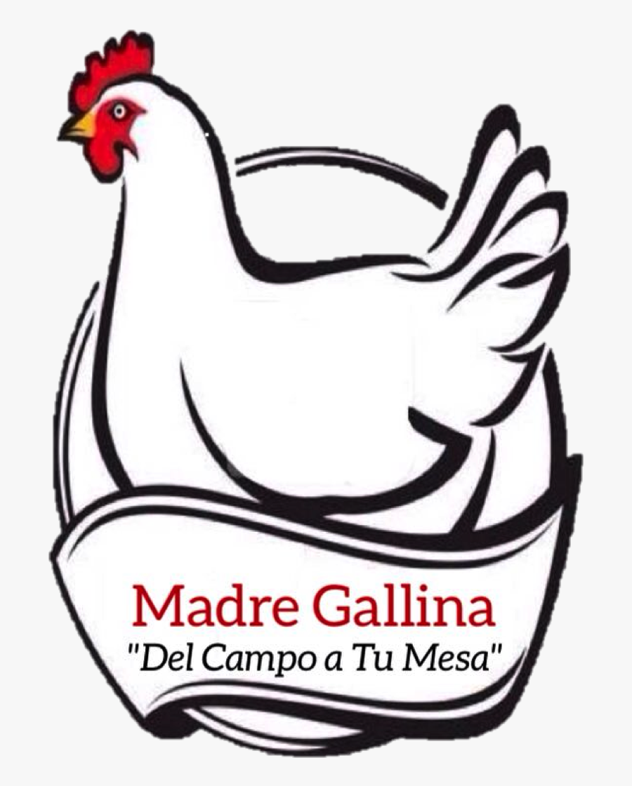 Transparent Gallina Png - Rooster, Transparent Clipart