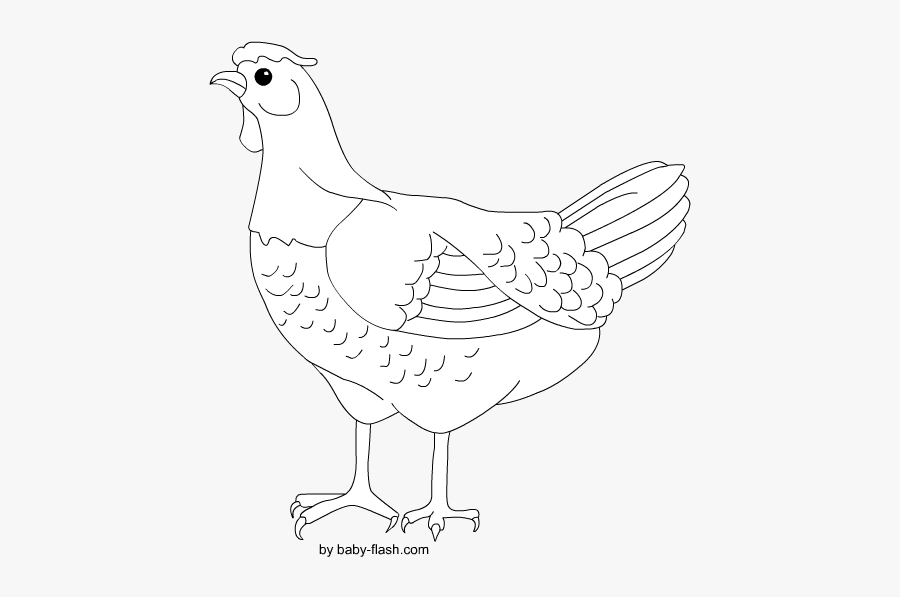 Gallina Bianco E Nero, Transparent Clipart