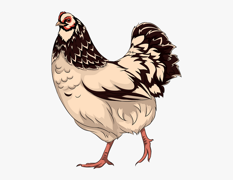 Rooster, Transparent Clipart