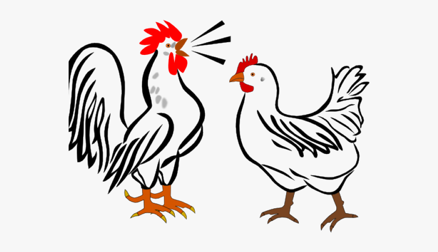 Hen And Rooster Cartoon, Transparent Clipart