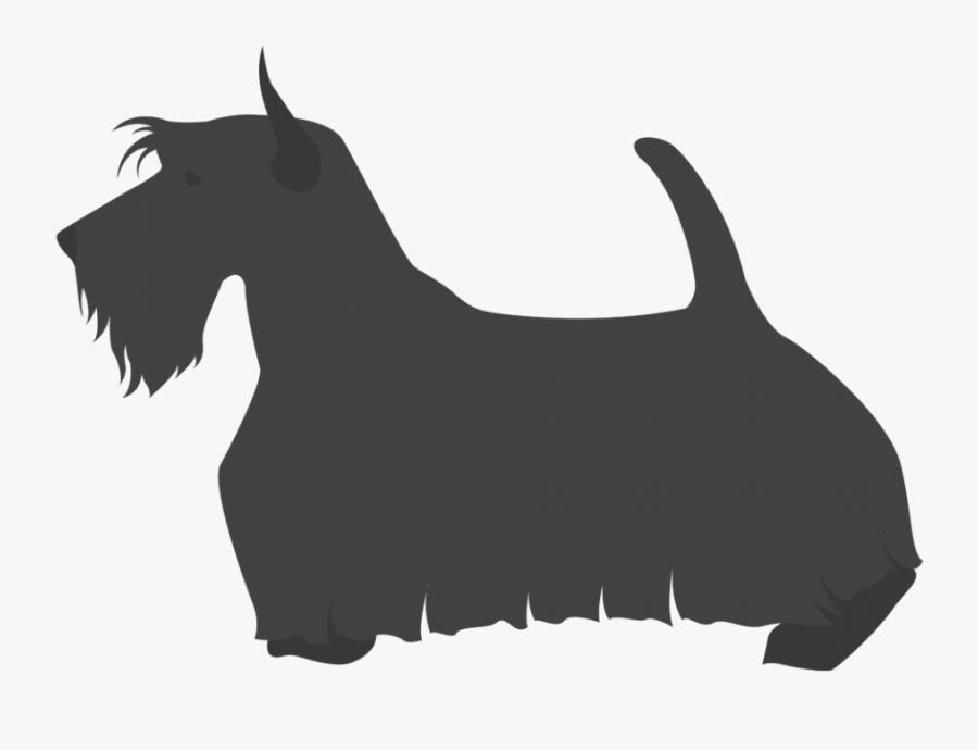 Scottish Terrier Cesky Terrier Welsh Terrier Dog Breed - Lamar Middle School Scottie, Transparent Clipart