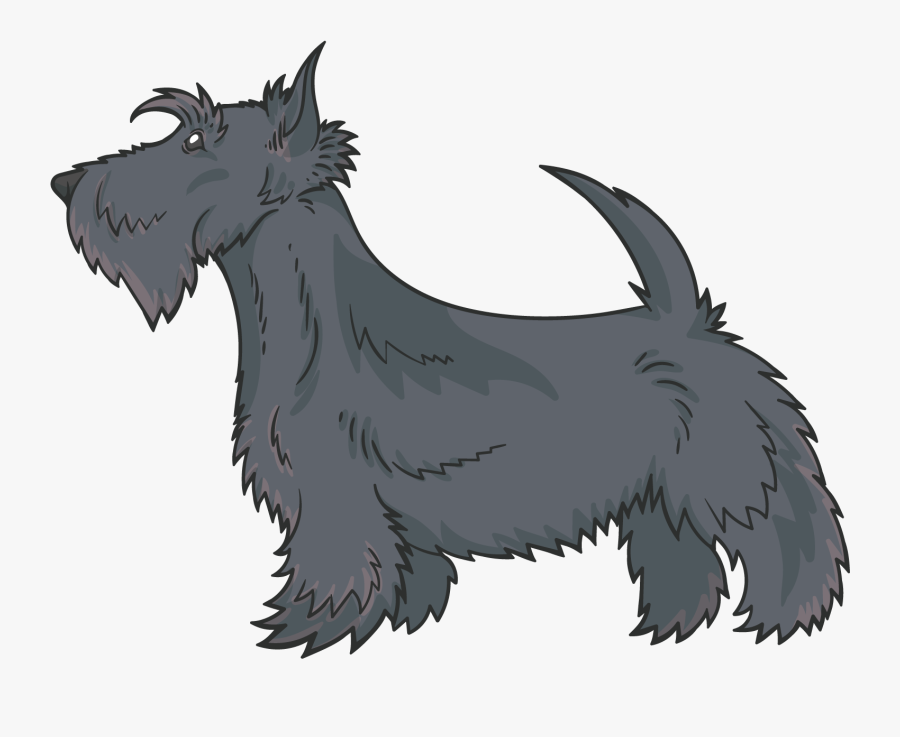 Dogs Vector Schnauzer, Picture - Miniature Schnauzer, Transparent Clipart