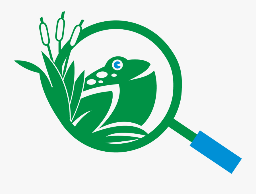 Outdoor Discovery Center, Transparent Clipart