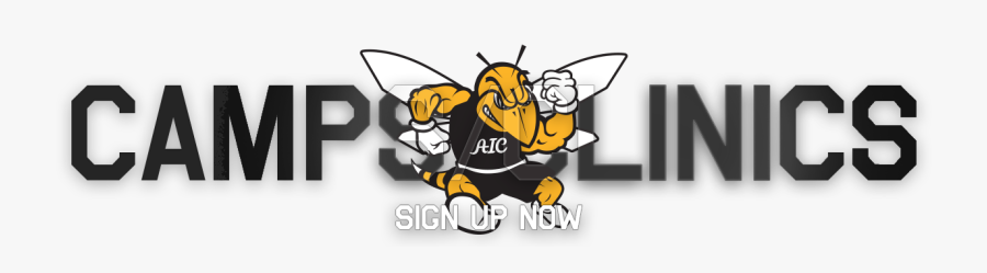 American International College, Transparent Clipart