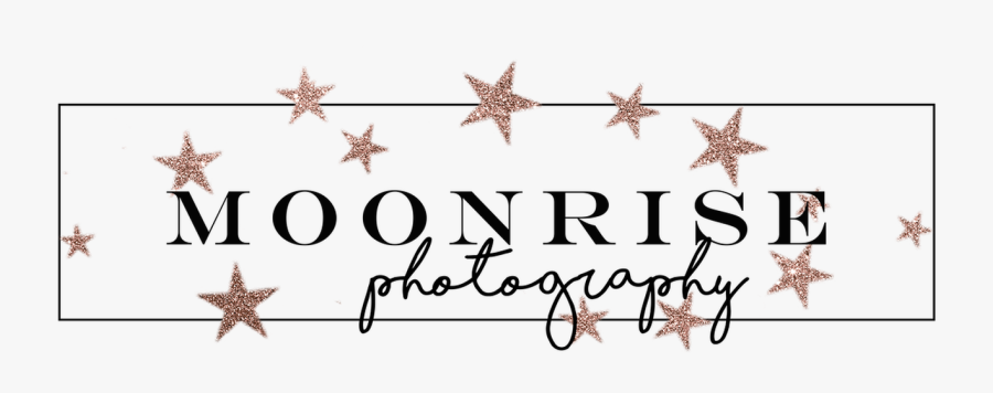 Picture - Marine Invertebrates, Transparent Clipart