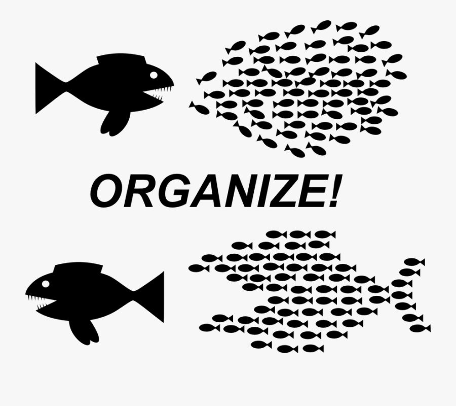 Organization-152809 960 - Community Organizing, Transparent Clipart