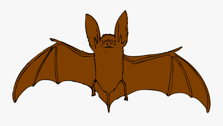 Bat, Flying, Animal, Brown - Brown Bat Clip Art, Transparent Clipart