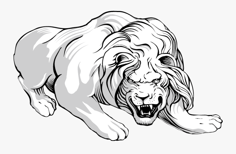 Black And White Tiger And Lion Drawing, Transparent Clipart