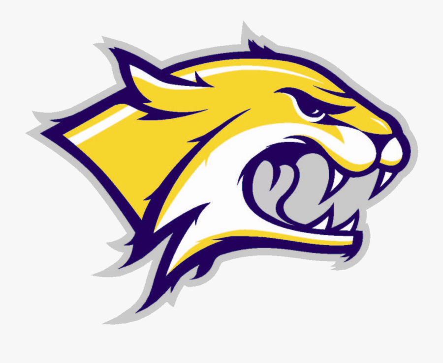 Wildcat Clipart Wildcat Basketball - University Of New Hampshire, Transparent Clipart