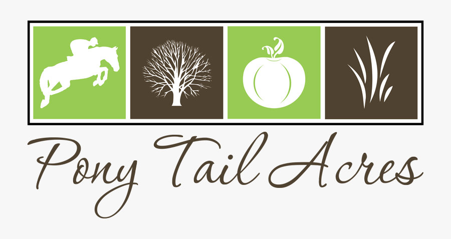 Boarding In Powder Springs - Tramonte And Sons, Transparent Clipart