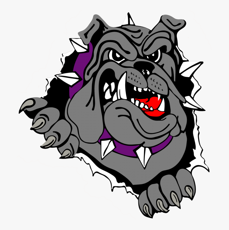 Bulldog Clipart Transparent Pencil And In Color Bulldog - Bull Dog Vector Png, Transparent Clipart