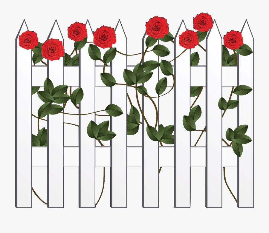 Transparent Witness Clipart - Musician, Transparent Clipart