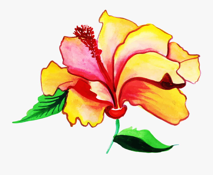 Hawaiian Hibiscus, Transparent Clipart