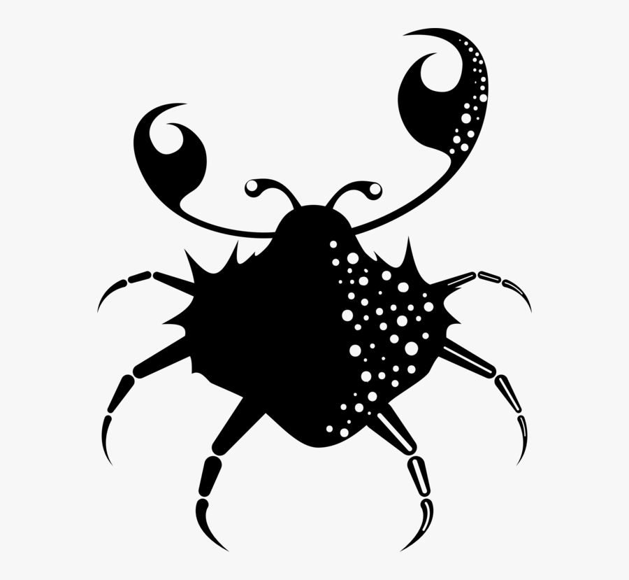 Seafood,line Art,head - Illustration, Transparent Clipart