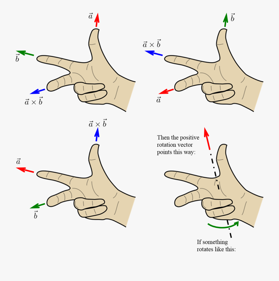 Thumb Vector Positive - Right Hand Rule Physics Torque, Transparent Clipart
