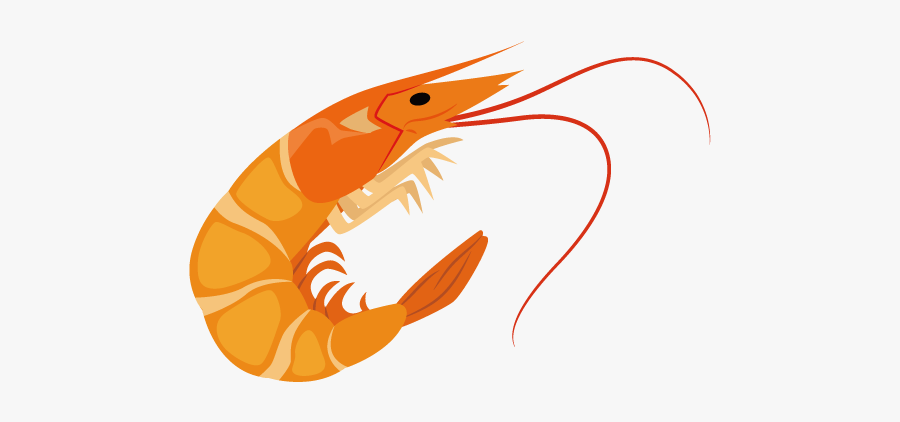 Shrimp Animated