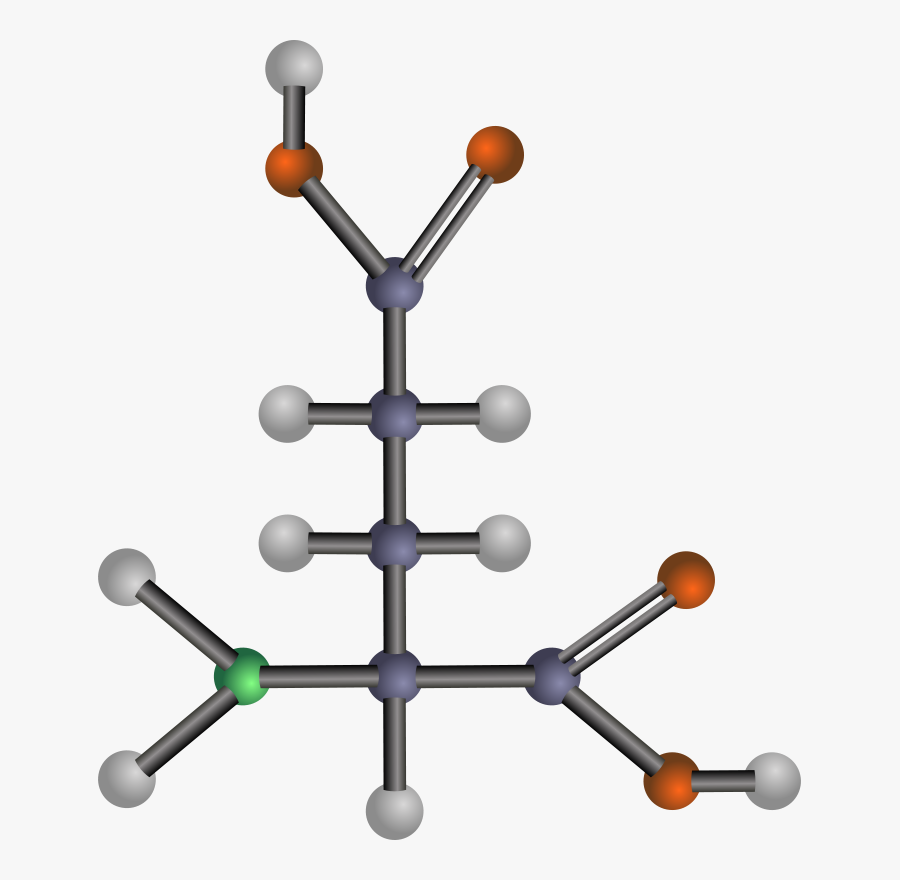 Glutamic Acid - Amino Acid Clipart, Transparent Clipart