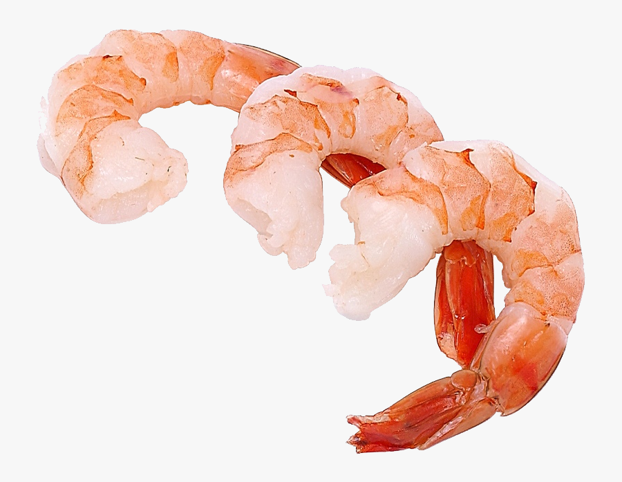 Shrimps Png - Cooked Shrimp Clip Art, Transparent Clipart