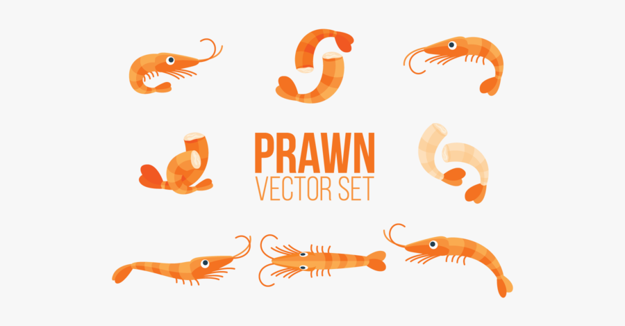 Prawn Vector, Transparent Clipart