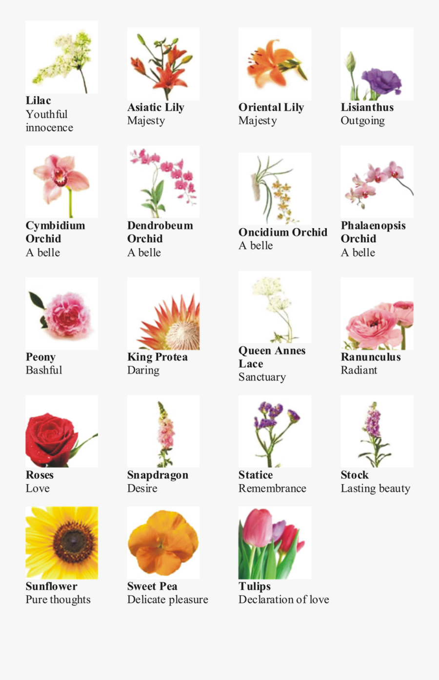 Name Of Different Type Of Flowers, Transparent Clipart