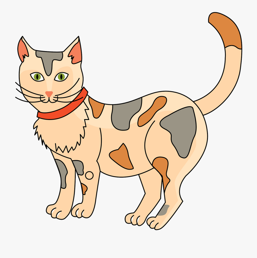 Domestic Short-haired Cat, Transparent Clipart