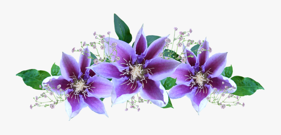 Purple Flowers Clipart Free, Transparent Clipart