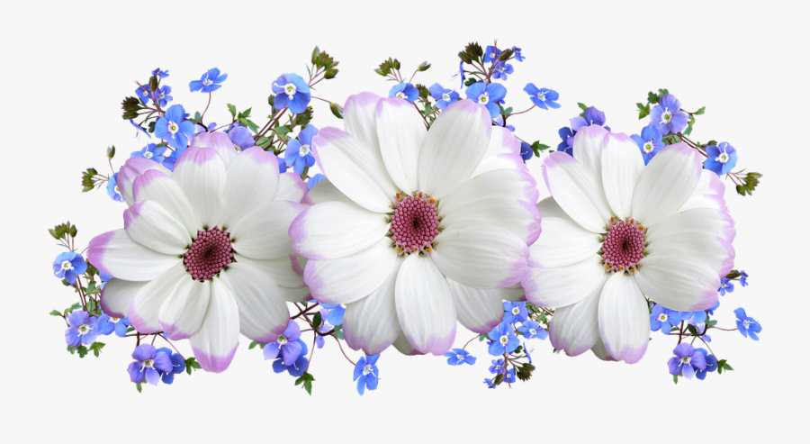 Flower, Transparent Clipart