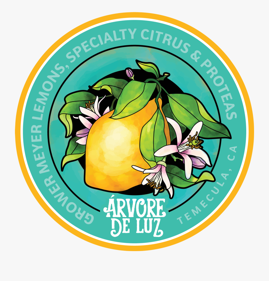 Mandala Of Health Model, Transparent Clipart