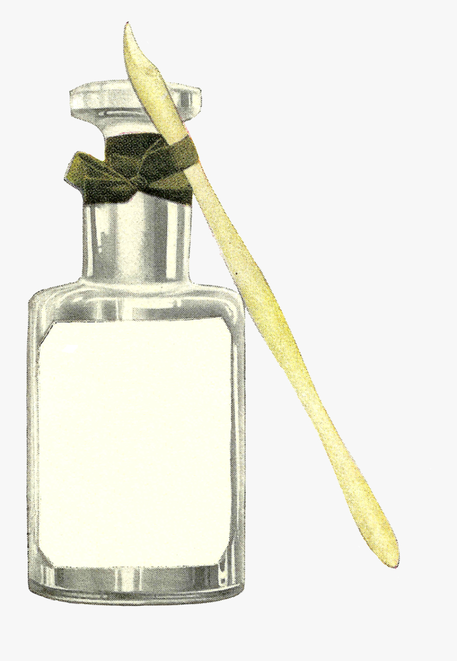 Still Life Photography, Transparent Clipart