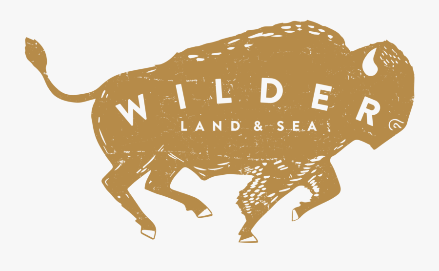 Sea Clipart Land Air Water - Dont Give Up Clipart, Transparent Clipart