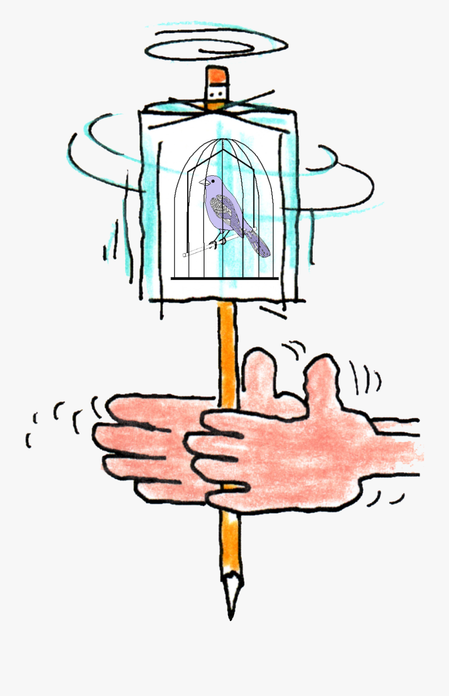 Transparent Follow Directions Quickly Clipart - Spinning Bird Optical Illusion, Transparent Clipart