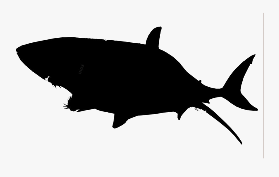 Transparent Shark Clipart, Shark Png Image - Great White Shark Png, Transparent Clipart