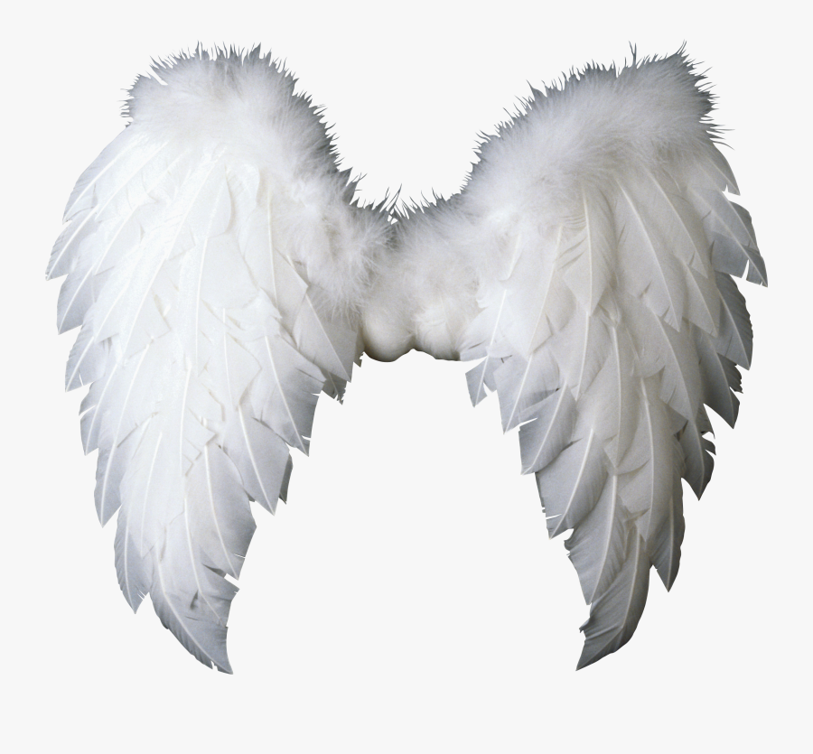 Angel Wings - Angel Wings Png, Transparent Clipart