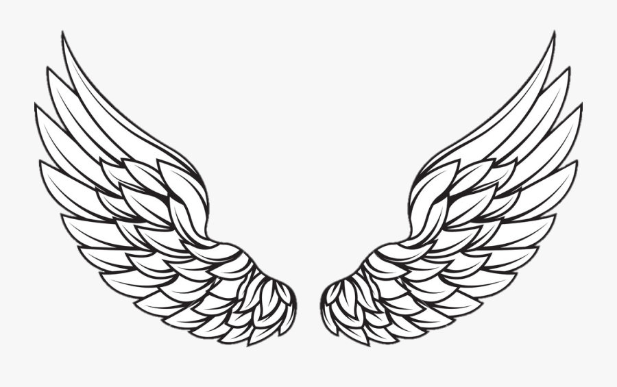 Asas De Anjo - Vector Wings Png Logo, Transparent Clipart