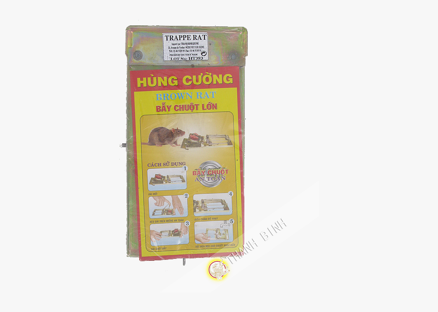 Clip Art Mouse Rats X Cm - Rat, Transparent Clipart