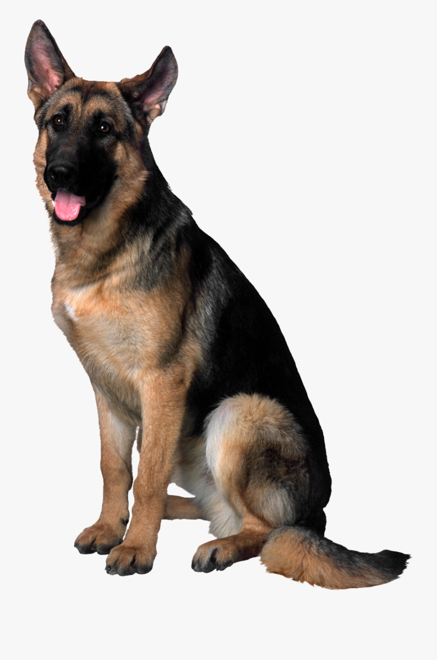 German Shepherd Png, Transparent Clipart
