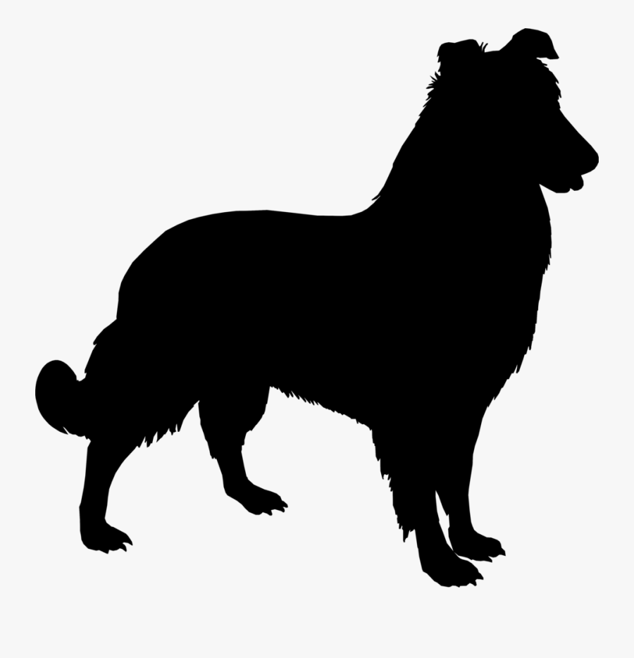 Anatolian Shepherd Yorkshire Terrier Sheltie German - Silhueta De Animais Cachorro, Transparent Clipart