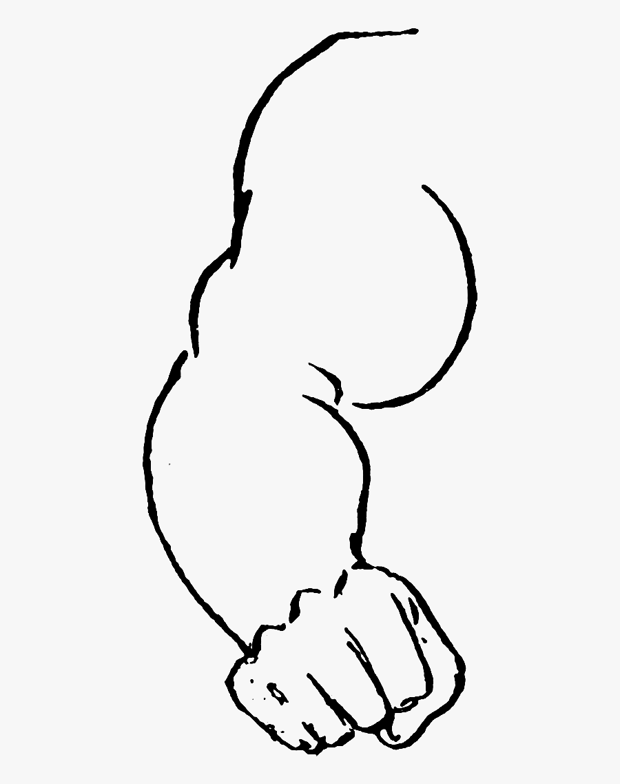 Athletics And Manly Sportethics And Evolution Of Boxing - Line Art, Transparent Clipart